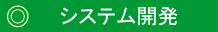 システム開発